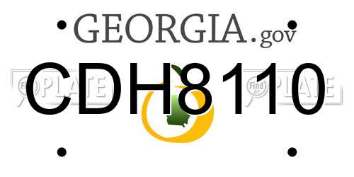 CDH8110 Georgia License Plate