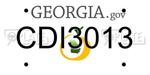 CDI3013 Georgia License Plate