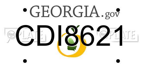 CDI8621 Georgia License Plate