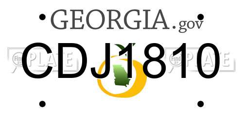 CDJ1810 Georgia License Plate
