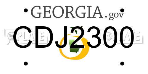CDJ2300 Georgia License Plate