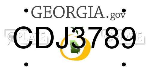 CDJ3789 Georgia License Plate