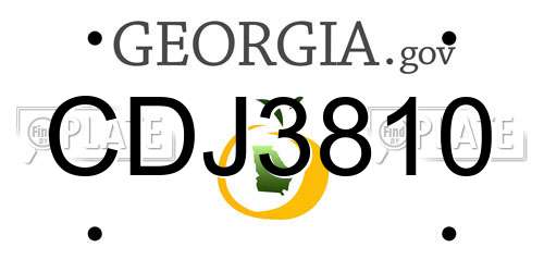 CDJ3810 Georgia License Plate
