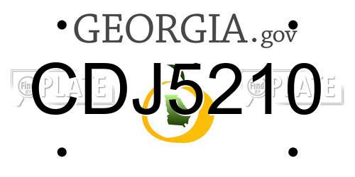 CDJ5210 Georgia License Plate