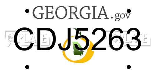 CDJ5263 Georgia License Plate