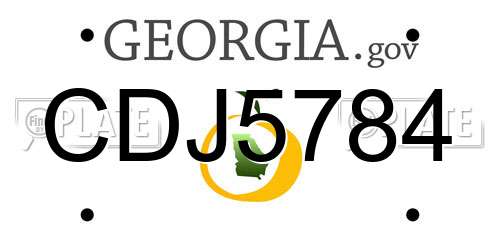 CDJ5784 Georgia License Plate