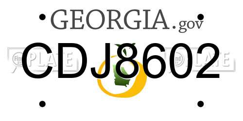 CDJ8602 Georgia License Plate