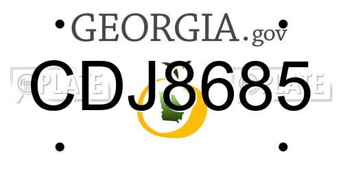 CDJ8685 Georgia License Plate