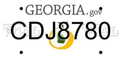 CDJ8780 Georgia License Plate