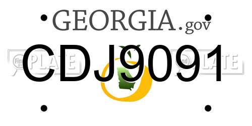 CDJ9091 Georgia License Plate