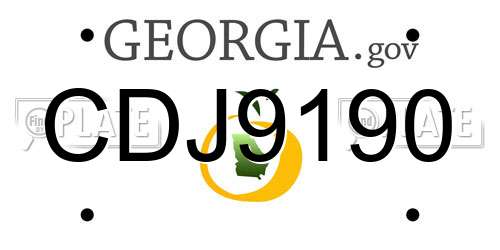 CDJ9190 Georgia License Plate