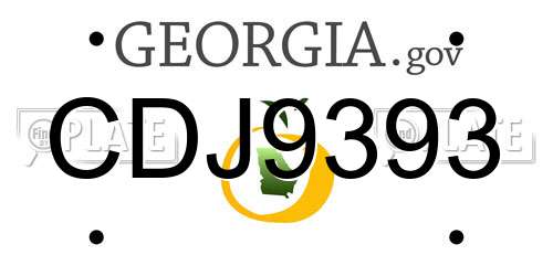 CDJ9393 Georgia License Plate