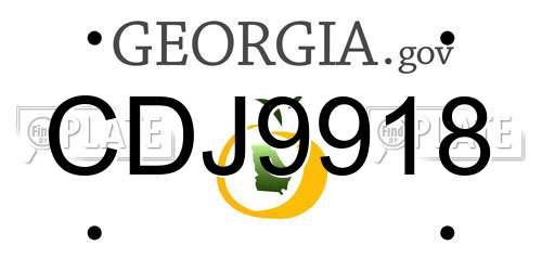 CDJ9918 Georgia License Plate
