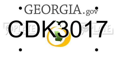 CDK3017 Georgia License Plate