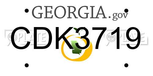 CDK3719 Georgia License Plate