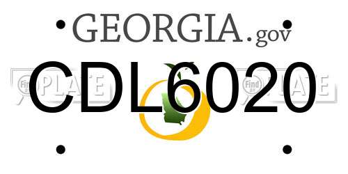 CDL6020 Georgia License Plate