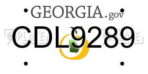 CDL9289 Georgia License Plate