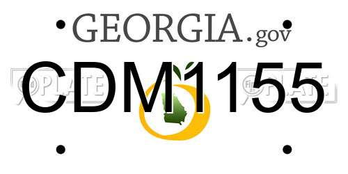 CDM1155 Georgia License Plate