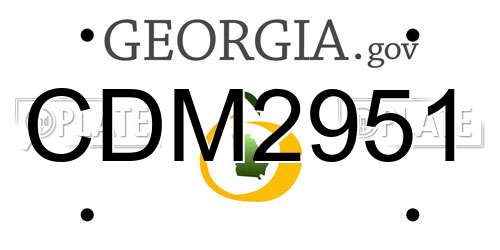 CDM2951 Georgia License Plate