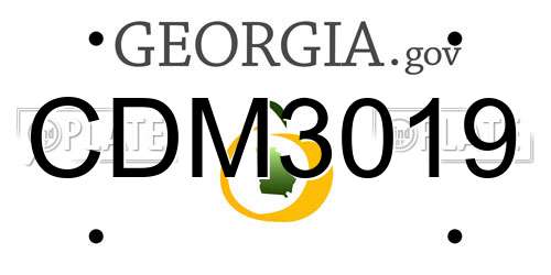 CDM3019 Georgia License Plate