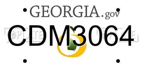 CDM3064 Georgia License Plate