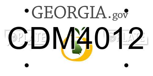CDM4012 Georgia License Plate