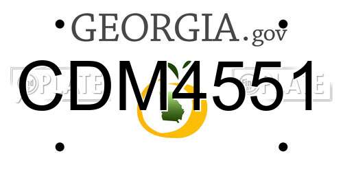CDM4551 Georgia License Plate