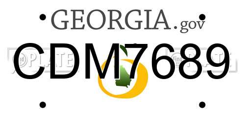 CDM7689 Georgia License Plate