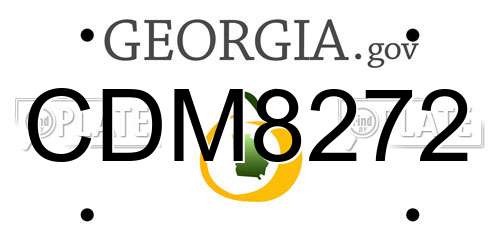 CDM8272 Georgia License Plate