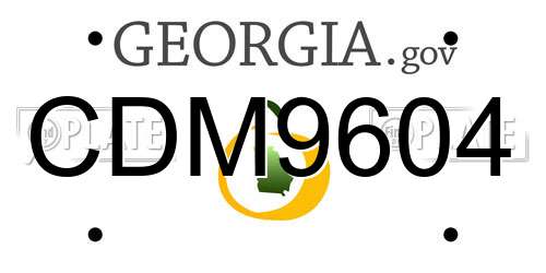 CDM9604 Georgia License Plate
