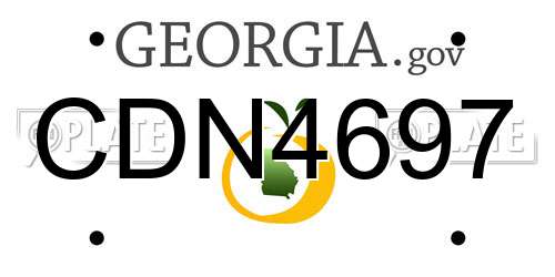 CDN4697 Georgia License Plate
