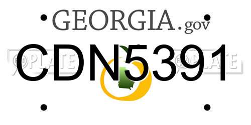 CDN5391 Georgia License Plate