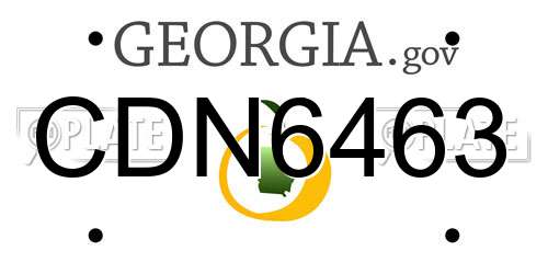 CDN6463 Georgia License Plate