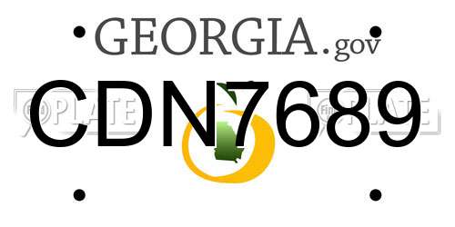CDN7689 Georgia License Plate