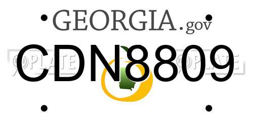 CDN8809 Georgia License Plate