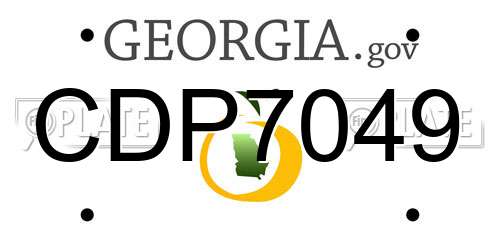 CDP7049 Georgia License Plate
