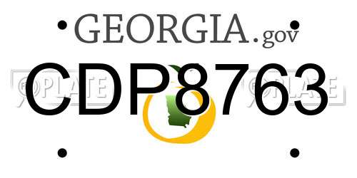 CDP8763 Georgia License Plate