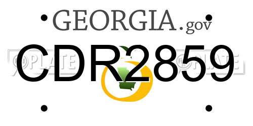 CDR2859 Georgia License Plate