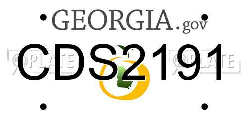 CDS2191 Georgia License Plate