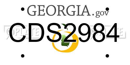 CDS2984 Georgia License Plate