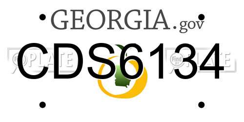 CDS6134 Georgia License Plate