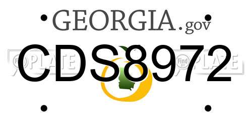 CDS8972 Georgia License Plate