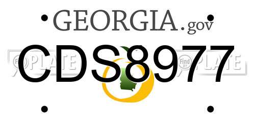 CDS8977 Georgia License Plate