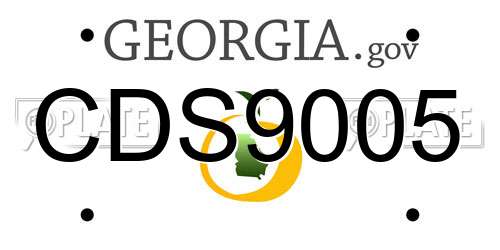 CDS9005 Georgia License Plate
