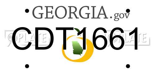CDT1661 Georgia License Plate
