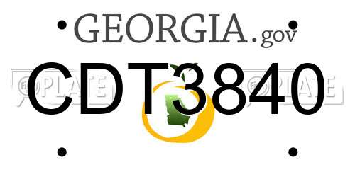 CDT3840 Georgia License Plate