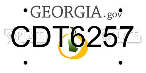 CDT6257 Georgia License Plate