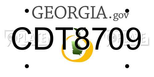 CDT8709 Georgia License Plate