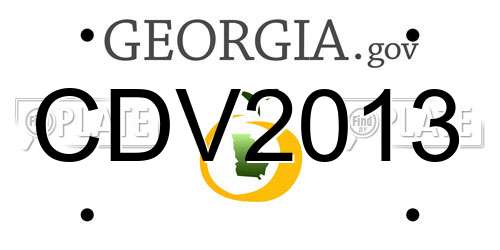 CDV2013 Georgia License Plate