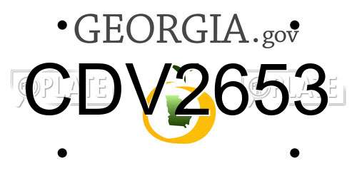 CDV2653 Georgia License Plate